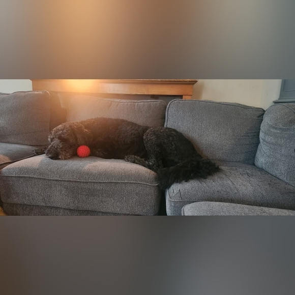 Like This Post To Be Notified When I Go Live - Picture 10 of 16